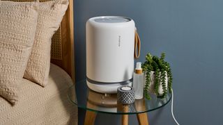 Picture shows a Molekule Air Mini Plus air purifier sitting on a glass bedside table with a candle, cosmetic bottle, and potted plant to its right.