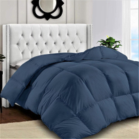 Lux Decor Quilted Comforter | Was $79.99
