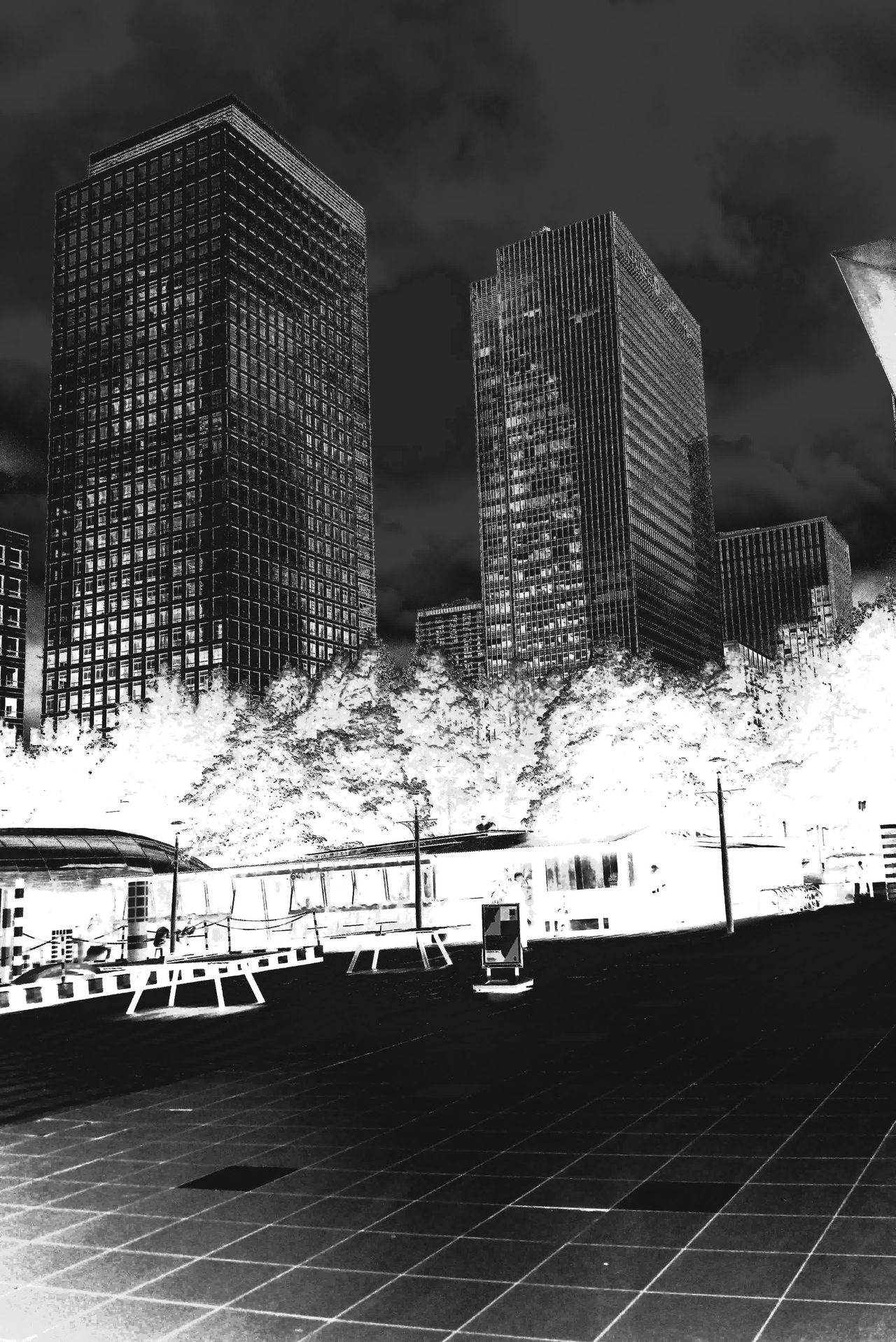 Photograph taken with the RewindPix digital compact, monochrome with dark and light tones inverted