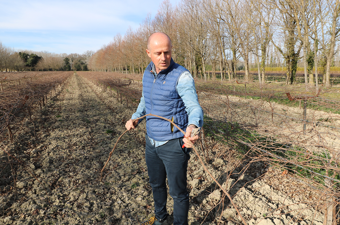 Lilian B&amp;eacute;rillon