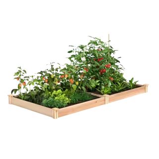 Two small square raised garden beds with vegetables including tomatoes and peppers growing