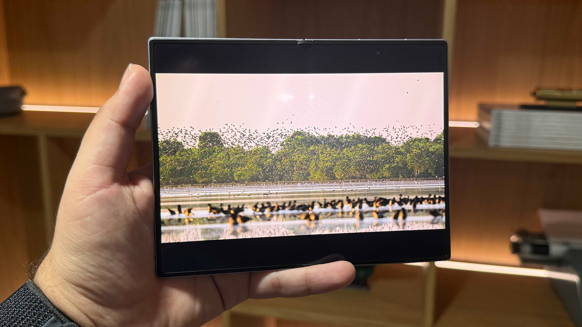 Samsung Galaxy Z Fold 8 smartphone unfolded and held in hand, on screen are birds