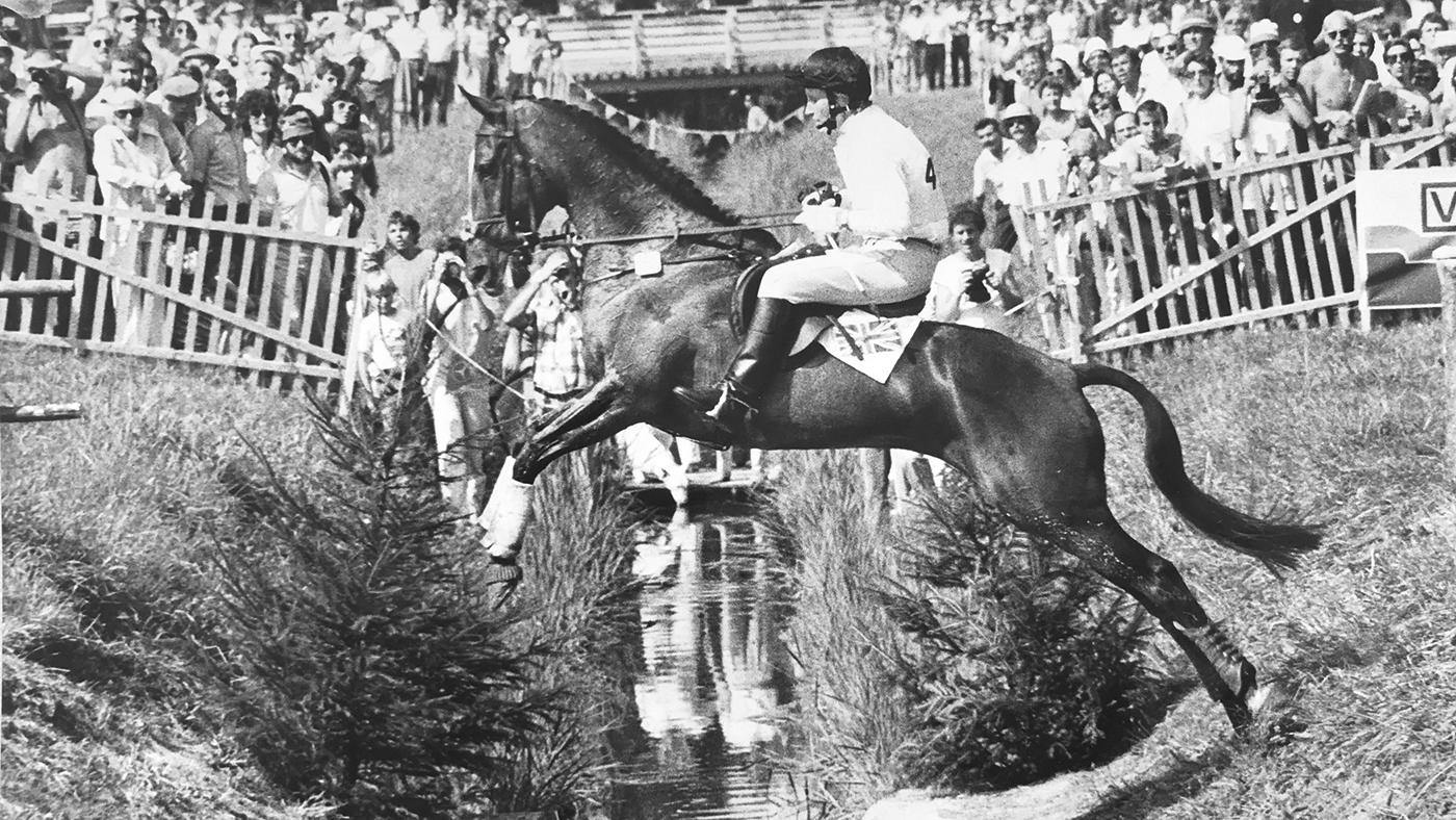 HAH303.legendsRegalRealm.european_1983_silver_medal_winner_at_coffin_fence_ti_archive.jpg