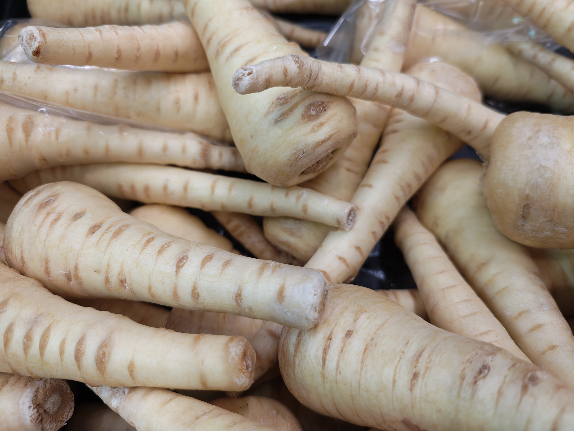 Motorola Signature sample photos