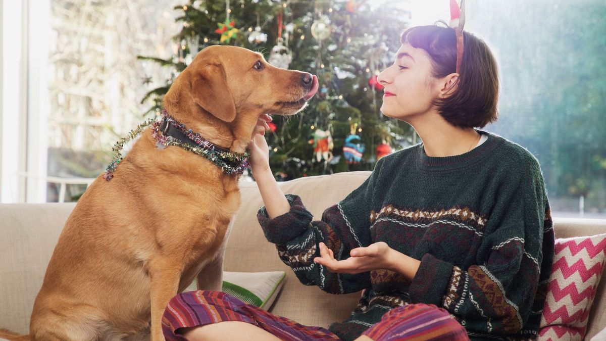 Women in jumper and Christmas ears stroking dog with tinsel: how to include your pet in Christmas traditions