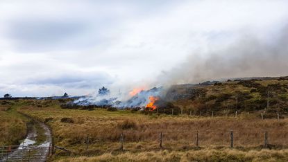 A view of the wildfires in Wales during the 2026 heatwaves
