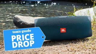 JBL Charge 4 shown on grass next to lake