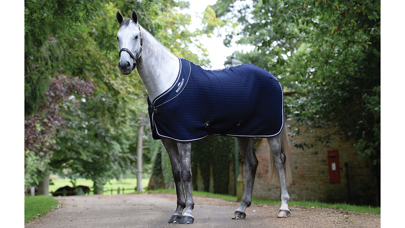 WeatherBeeta Thermocell standard neck cooler