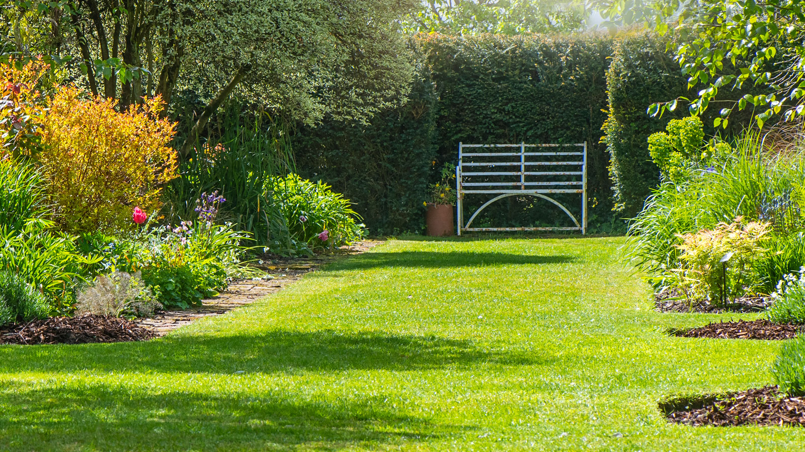 well-kept thriving green lawn with flowerbeds, trees, shrubs, hedge and white garden bench