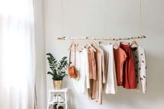 Birch branch clothes rail from Etsy with white stool and indoor houseplant decor