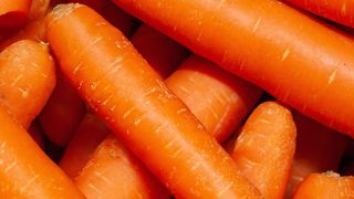 Carrots