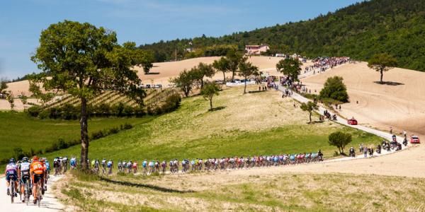 An Euskaltel rider brings up the rear of the peloton on a perfect day of racing conditions