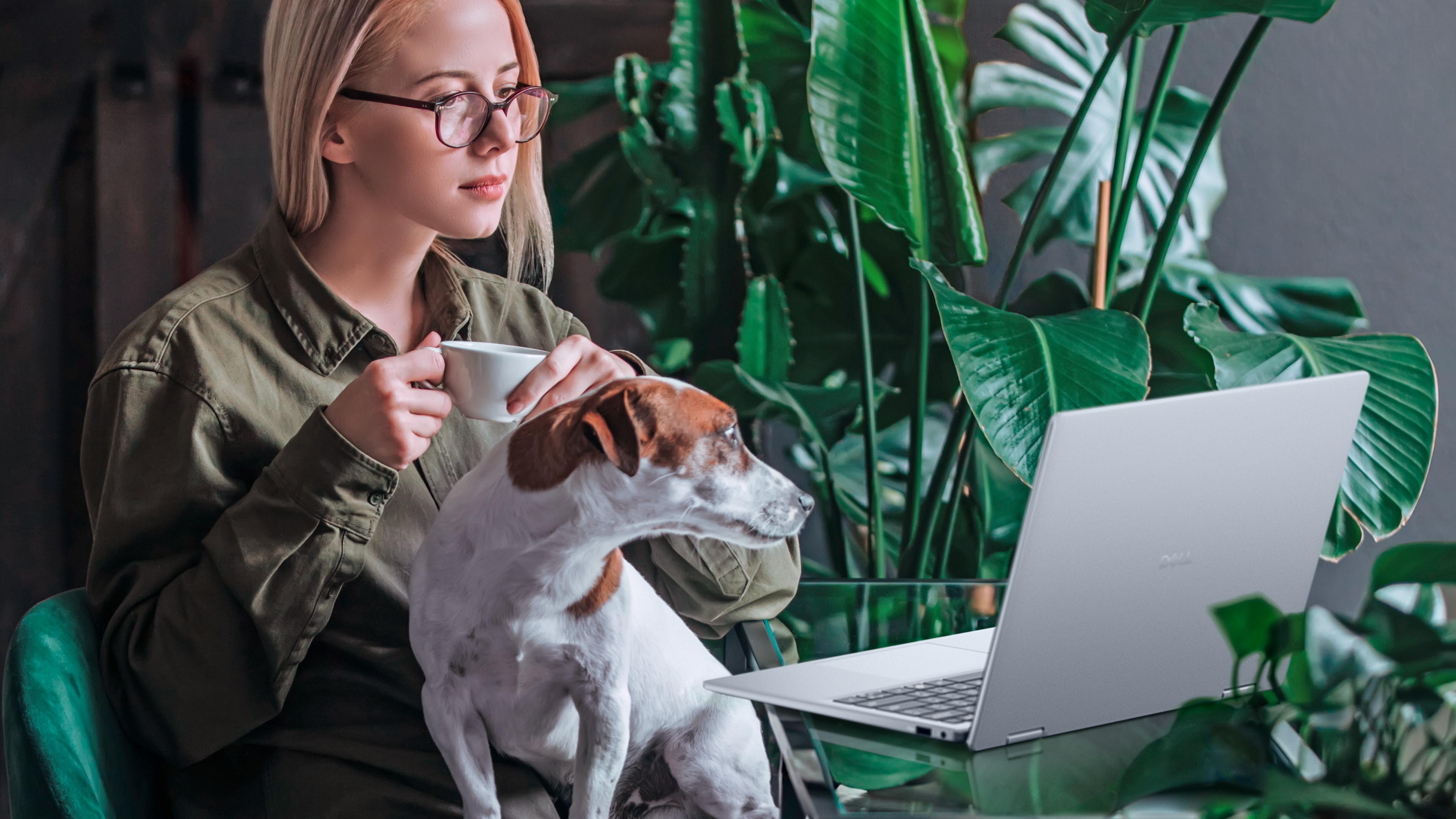 A woman with glasses holds a cup, seated beside a Dell 14 Plus 2-in-1 laptop. A small dog sits on her lap. Lush green plants in the background create a cozy atmosphere.