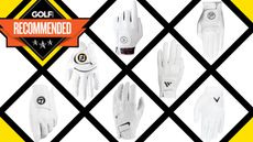Best Golf Gloves
