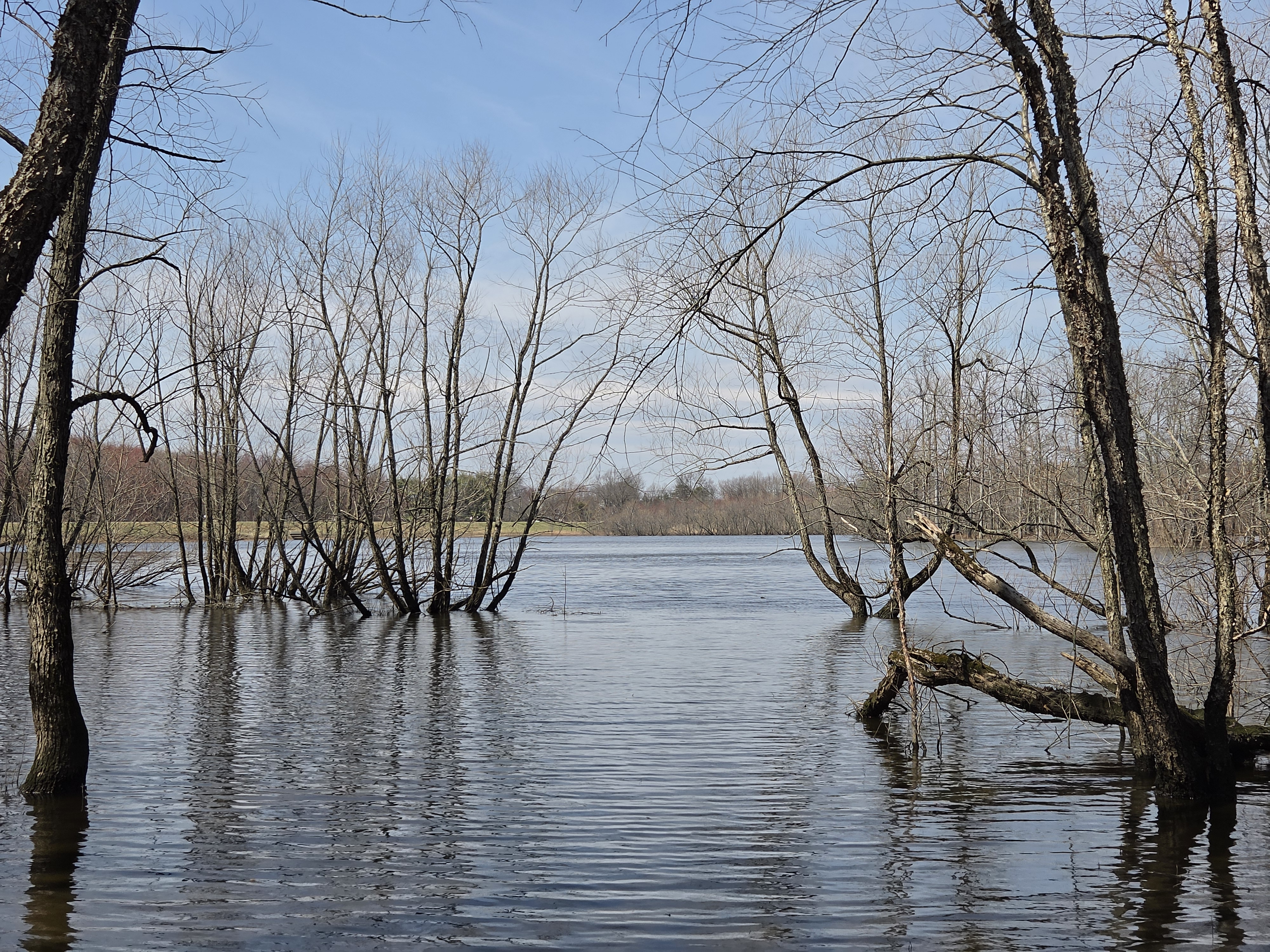 Samsung Galaxy S26 Plus camera samples