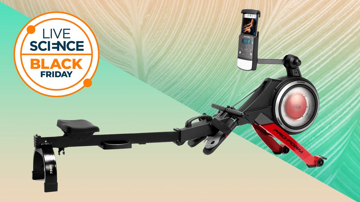 Done deal rowing machine sale