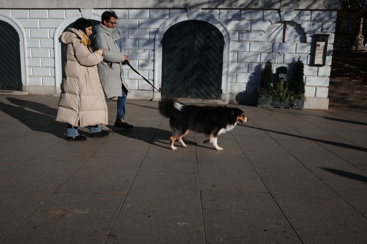 A couple walking their dog