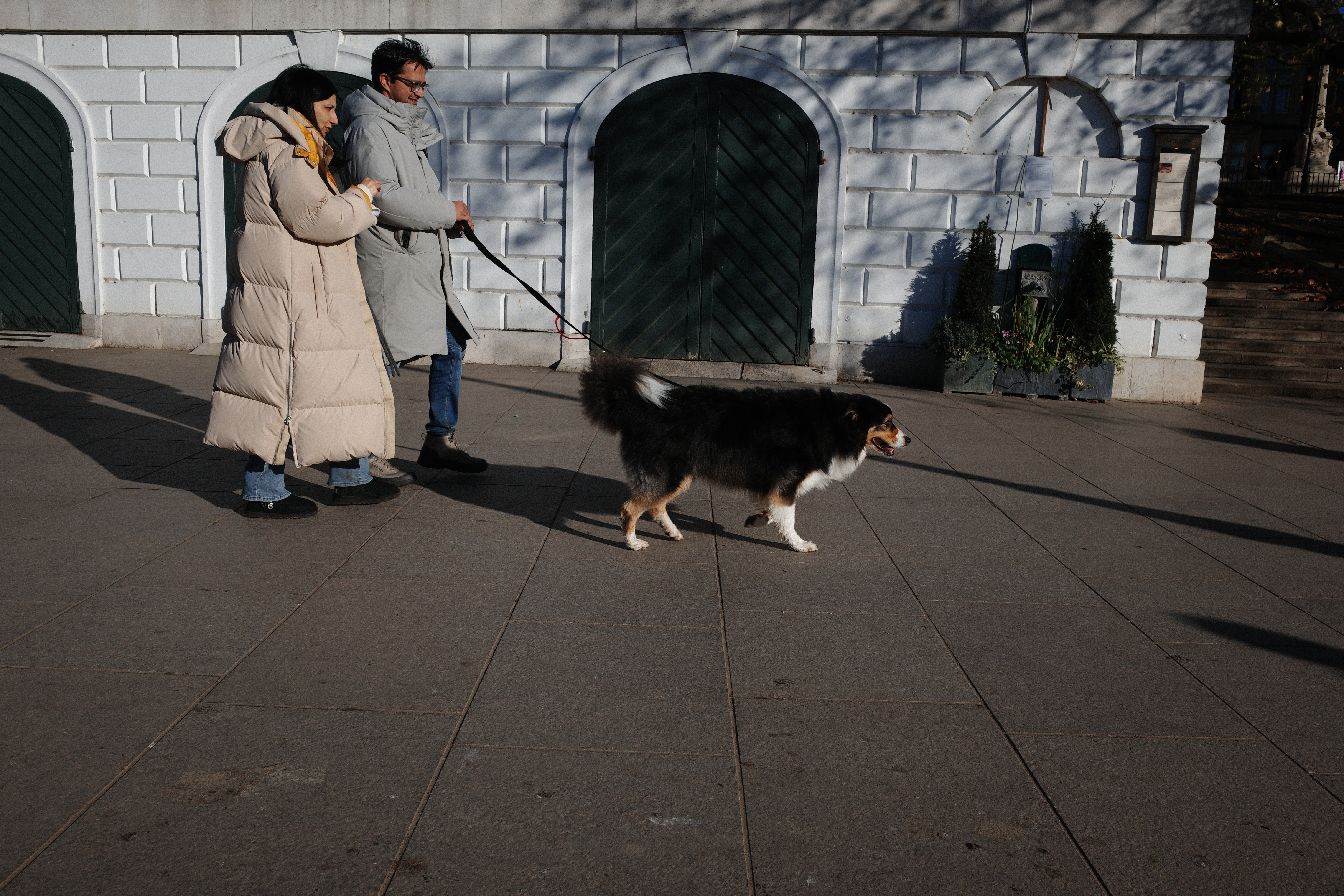 A couple walking their dog