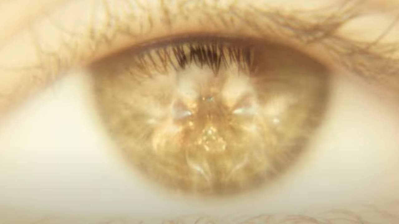 Mothra's supposed reflection in an eyeball in Godzilla x Kong: The New Empire.