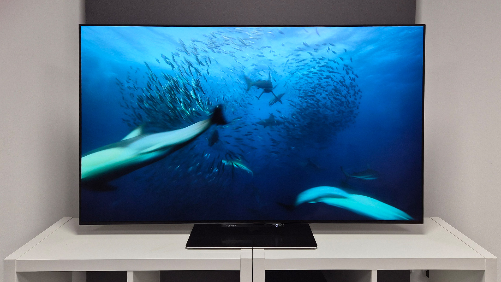 Toshiba XF9F OLED TV on white shelving unit, on screen is underwater scene with sharks and fish