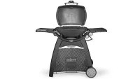 Best BBQ bbq Weber