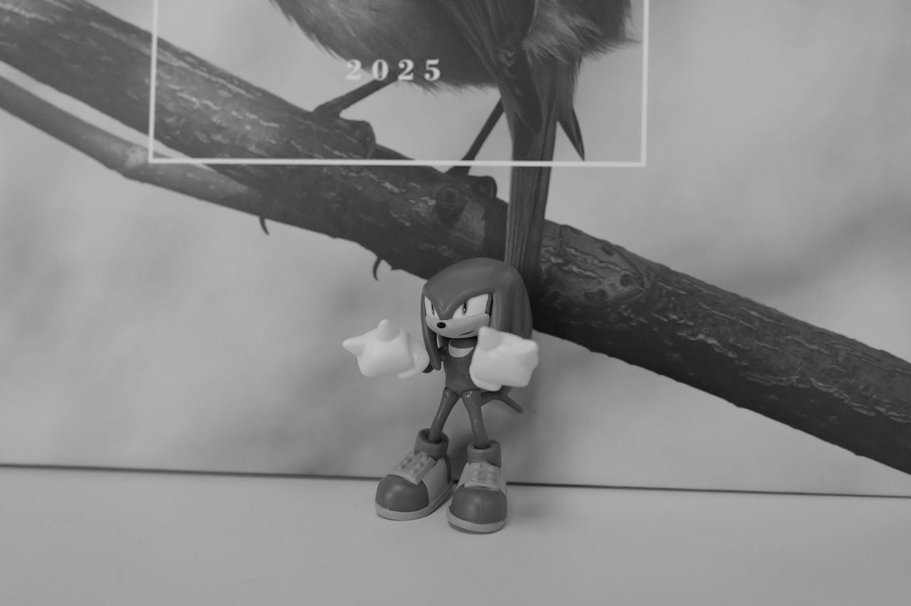A photo taken on a Leica Q3 Monochrom black-and-white camera