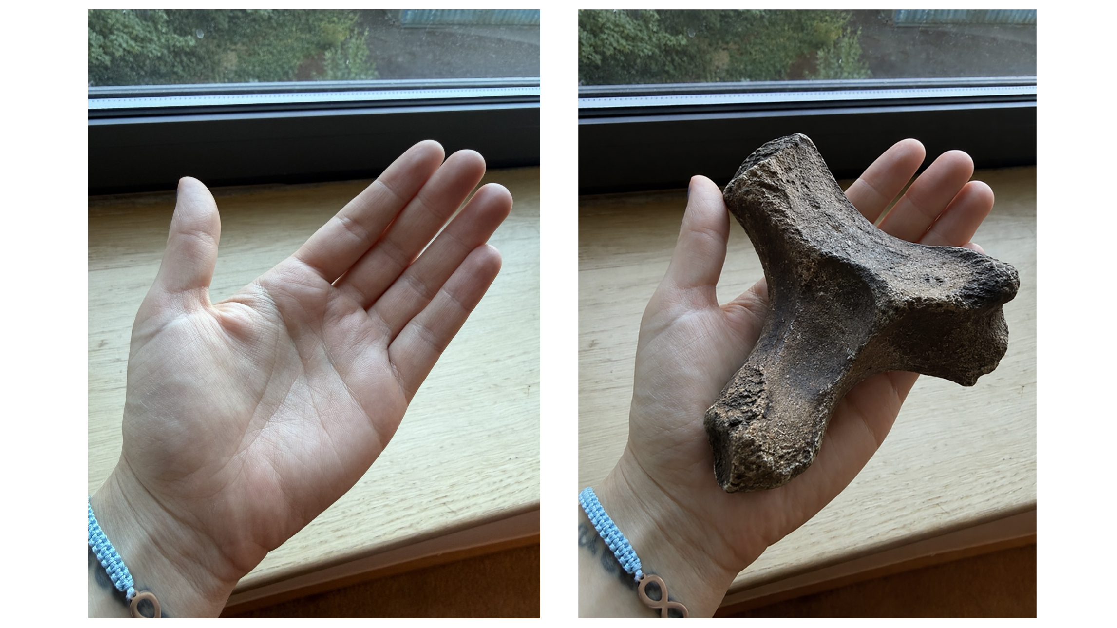 AI fake fossil vs original image.