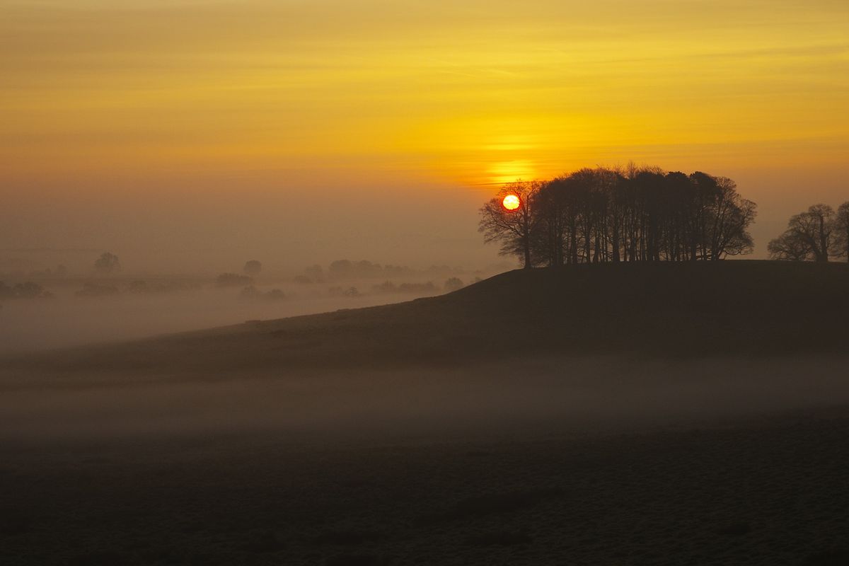 Sunrise over a misty tree-lined horizon