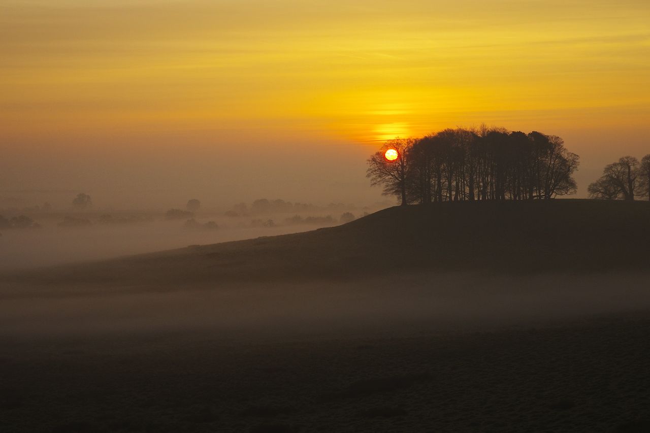 Sunrise over a misty tree-lined horizon