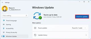 Windows 11 version 22H2 upgrade