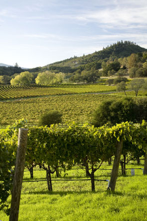 Joseph Phelps Spring Valley Ranch