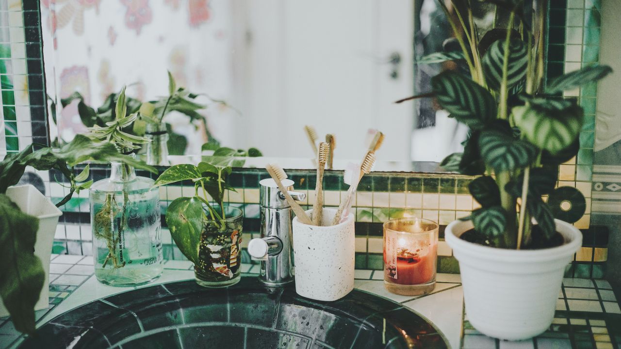 green bathroom vanity top with accessories on it and plants