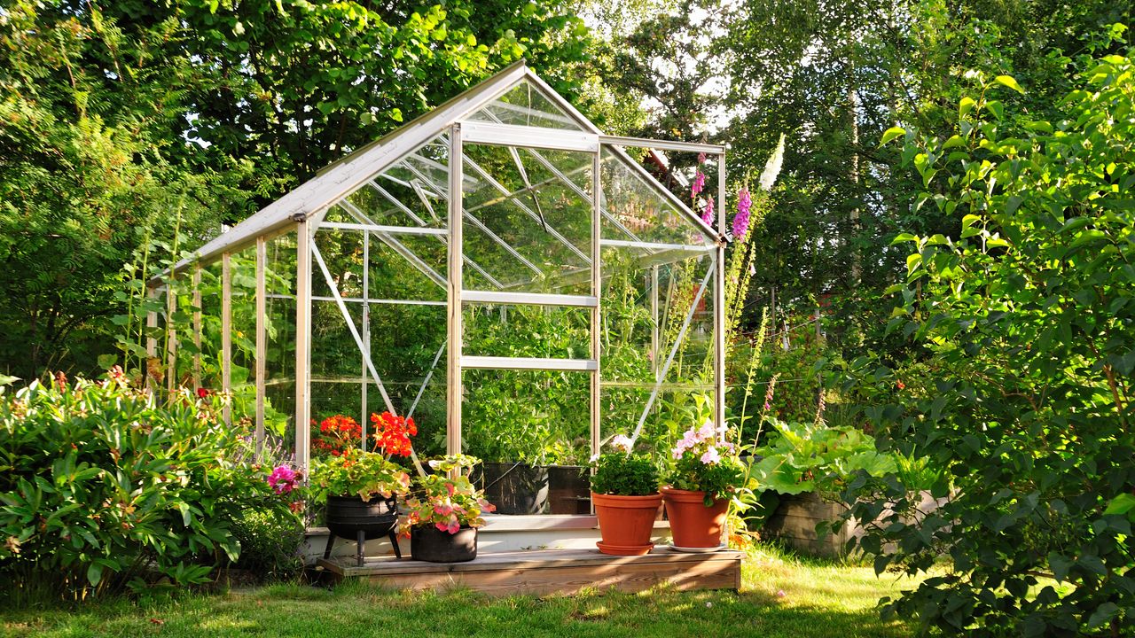 greenhouse in yard surrounded by flowers and lawn