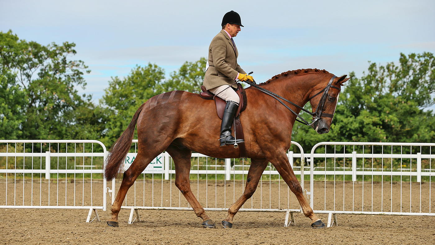 Ducal-Royal-emblem_369111392_628282852-3.jpg