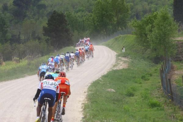 The peloton lined out on the gravel.