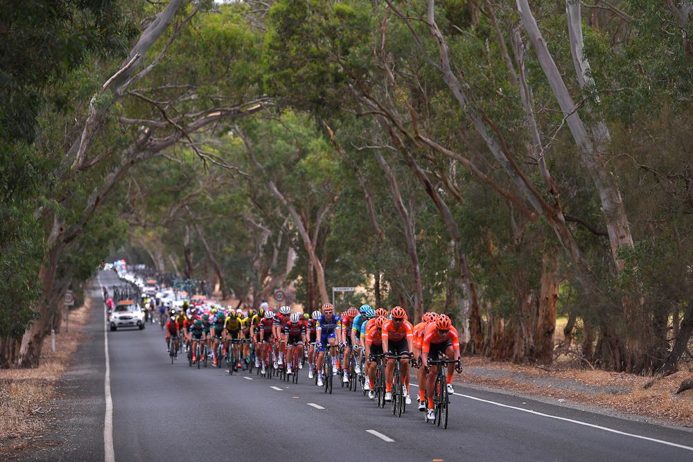 Patrick Bevin's CCC Team power the chase during stage 4 at the Tour Down Under