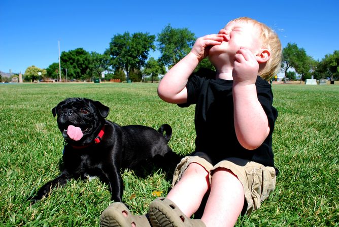 Toddler and dog eating, food, mood