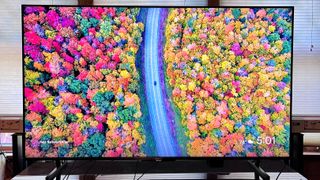 Hisense U8K with onscreen image of colorful trees