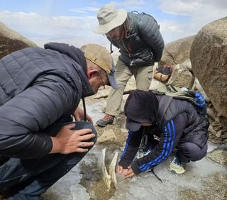 Three men gather around a horse jawbone stuck in the ice