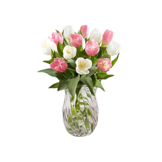 A bouquet of spring tulips