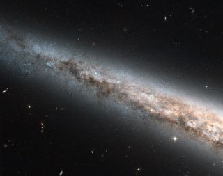 The Needle Galaxy, NGC 4565