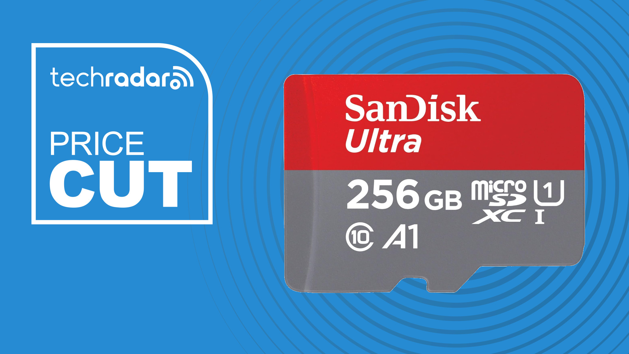 SanDisk MicroSD Card on a blue background