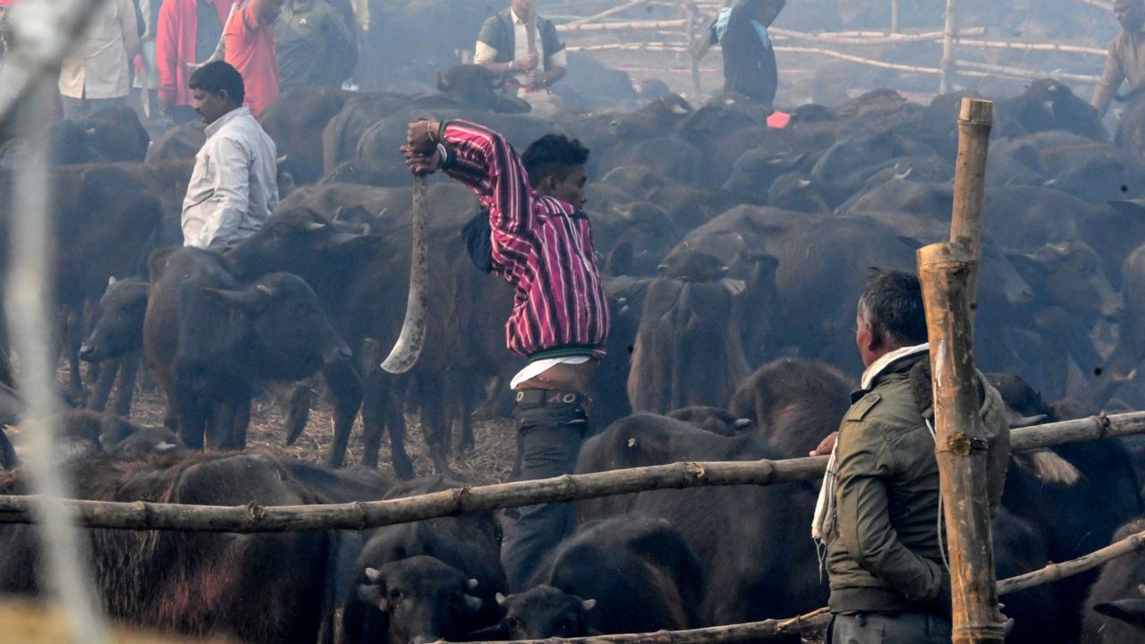 Nepal, Gadhimai, India, Hinduism