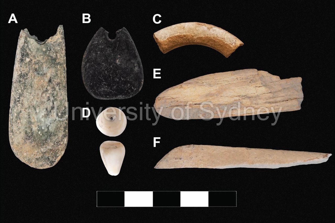 Some of the stone tool remains the team found by AlUla.