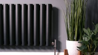 Black designer radiator on grey wall next to plant