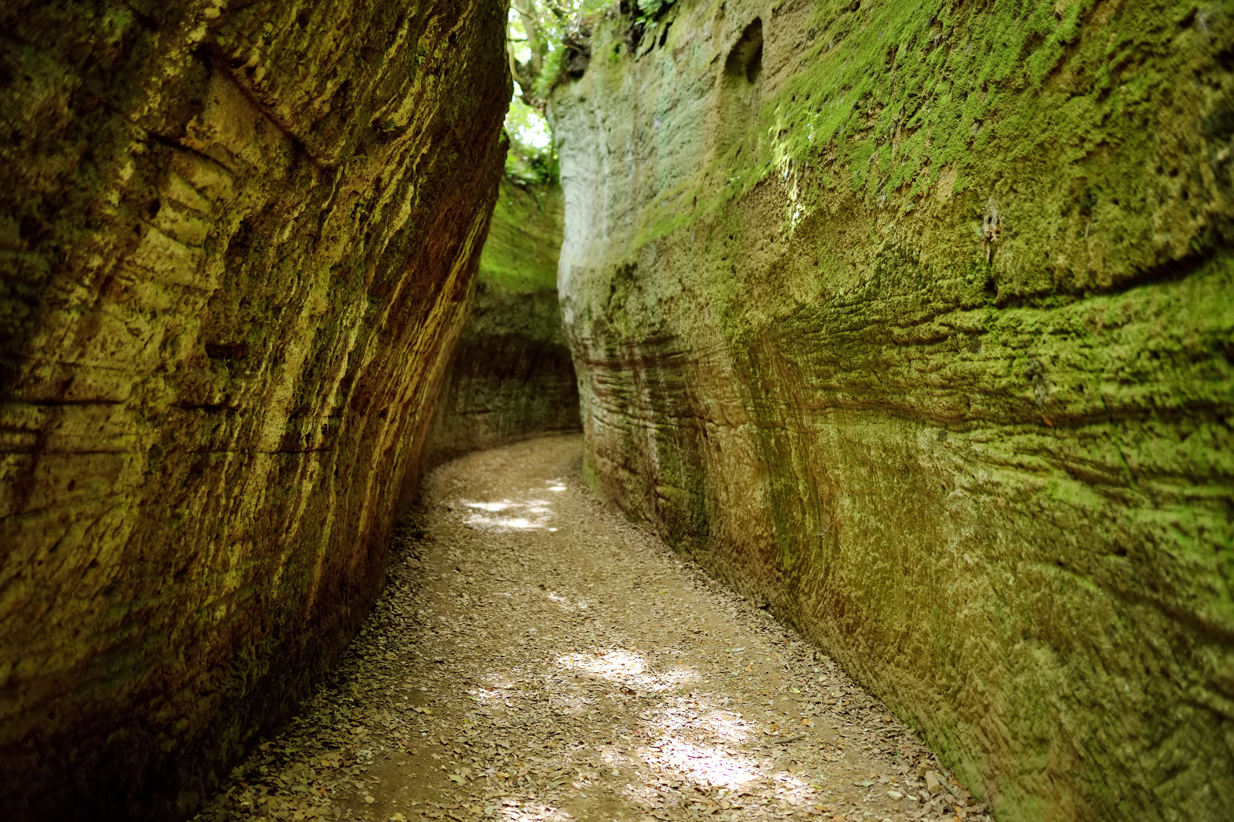 Sunken ancient roads in Tuscany