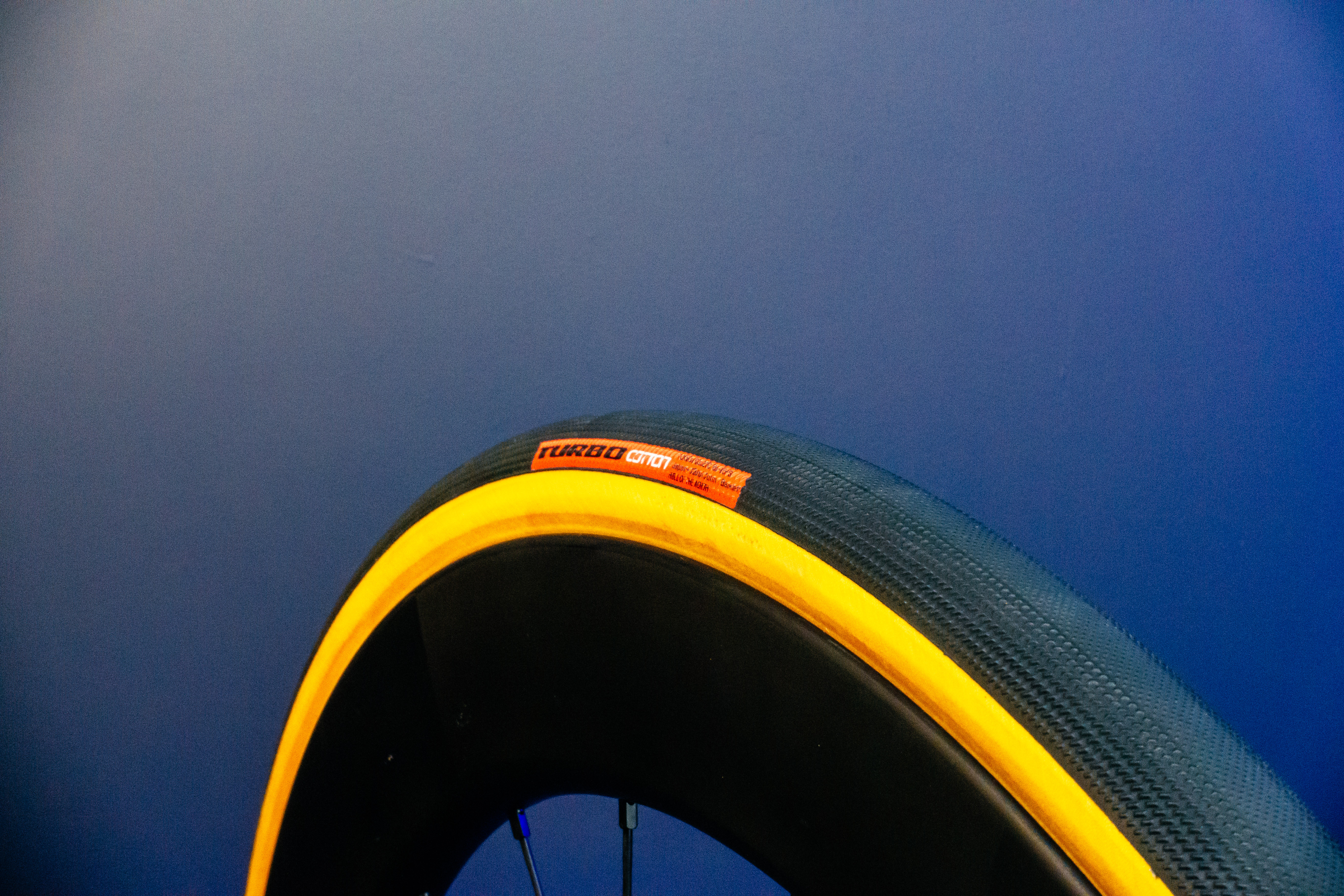 Specialized Turbo Cotton Road tyre on a blue background