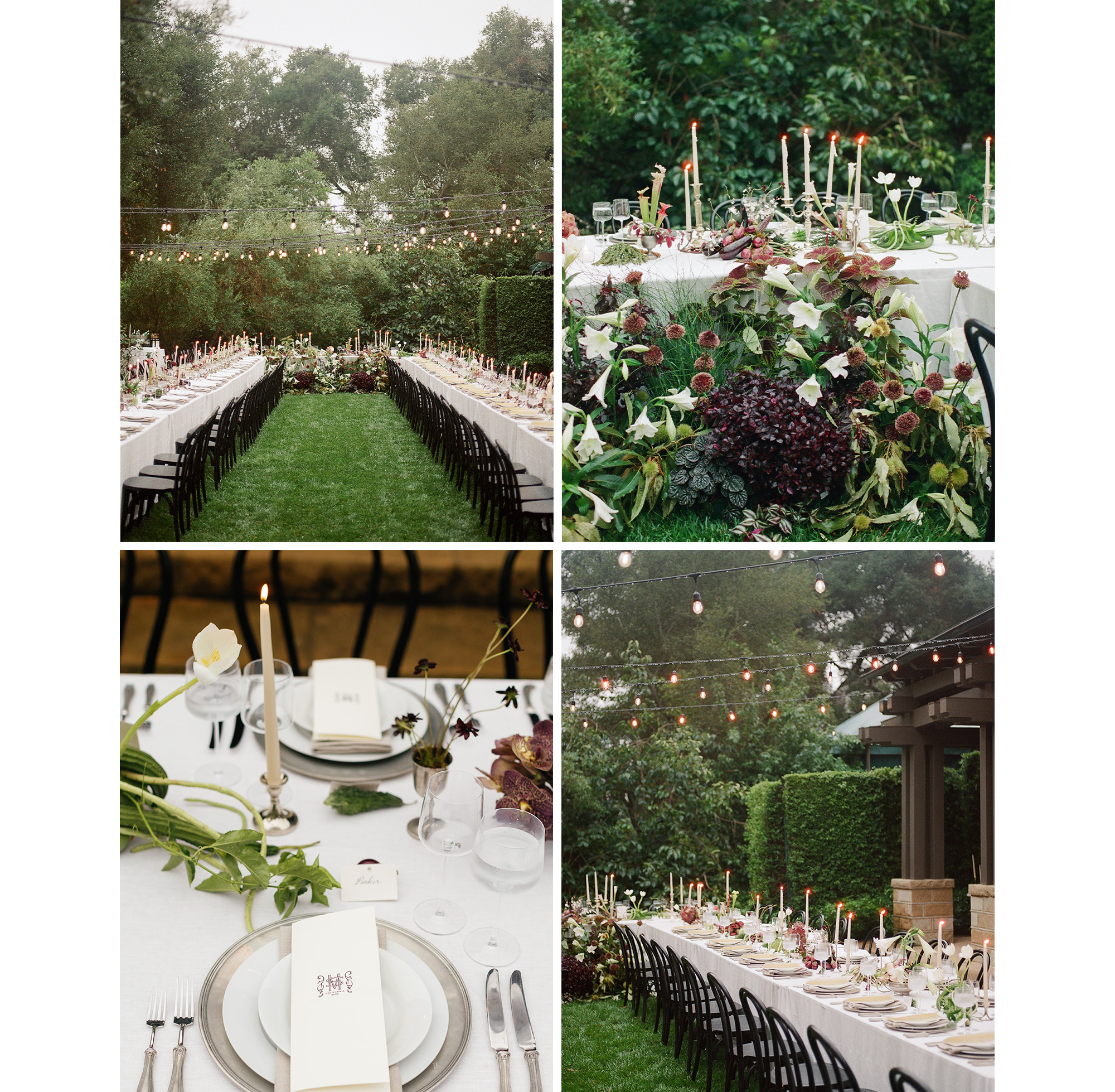 image from sophia and mik's wedding reception.