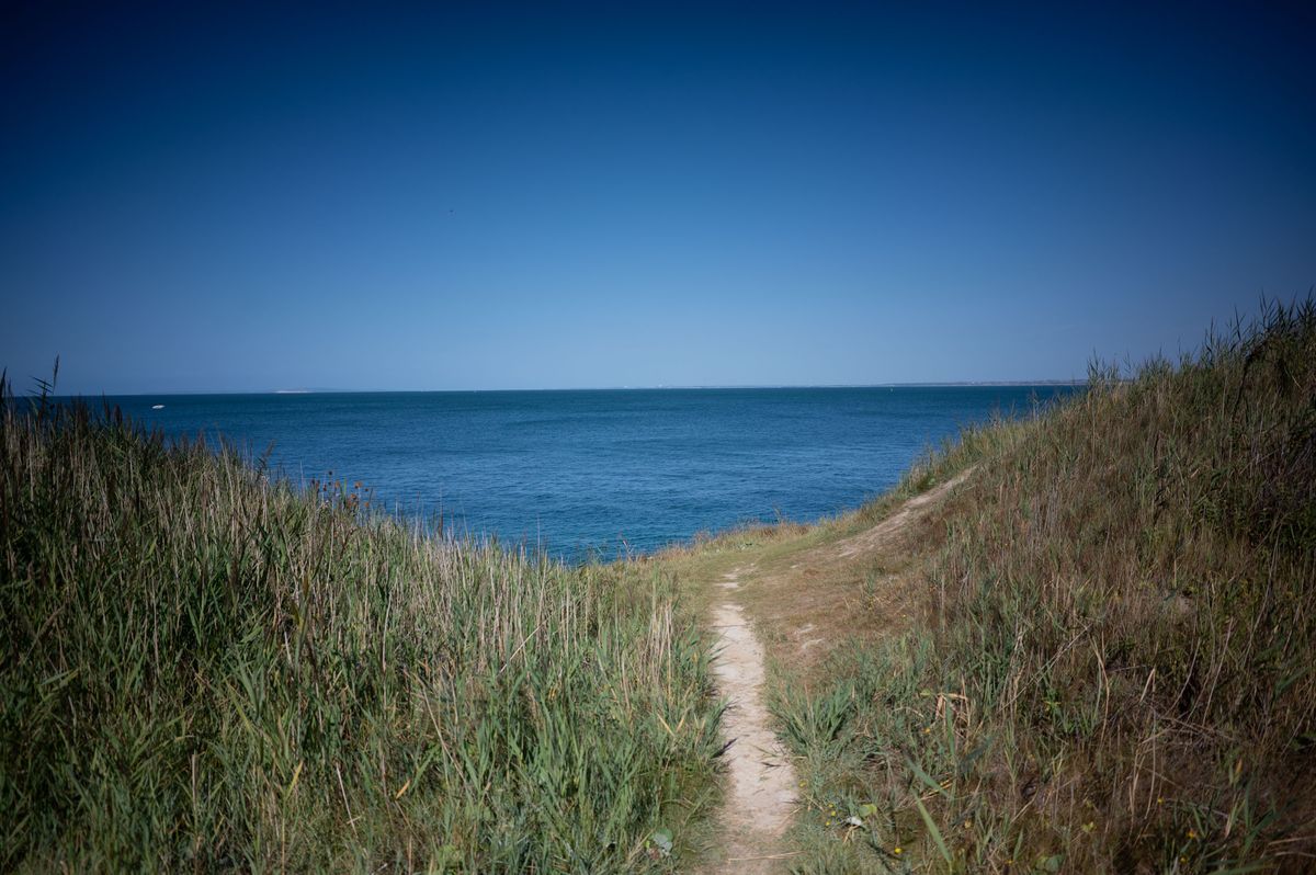 A sandy path leads to the ocean on a clear sunny day, seen between long grassy hills