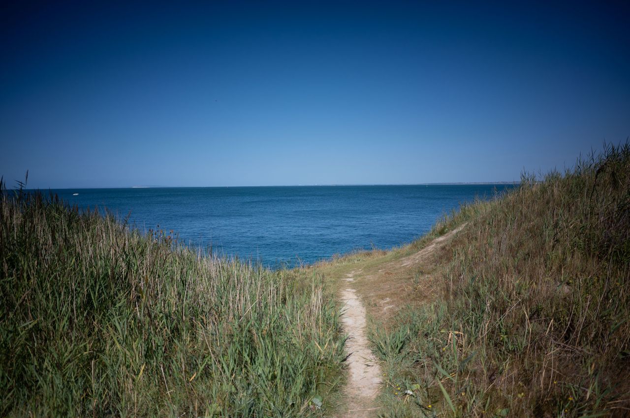 A sandy path leads to the ocean on a clear sunny day, seen between long grassy hills